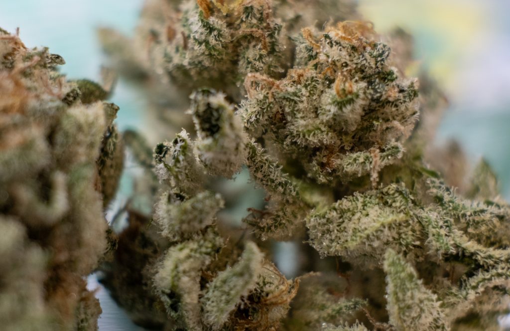 Mahoney Greens – Angel Cake