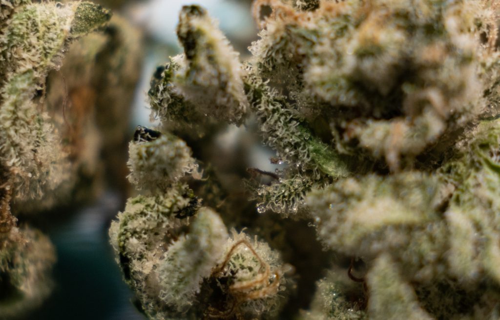 Mahoney Greens – Angel Cake