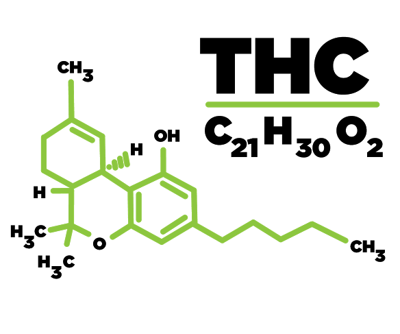 THC Molecule