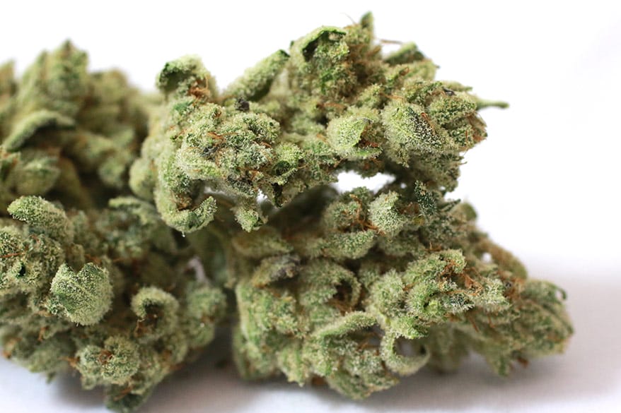 Gorilla Glue Marijuana Strain - Apple Dream Shop