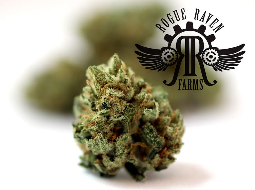 Rogue Raven Farms Stephen Hawking Kush