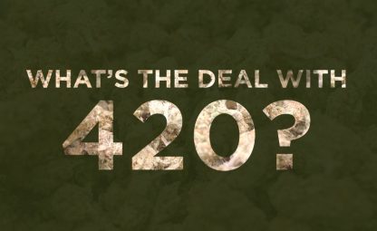 420 Blog v2