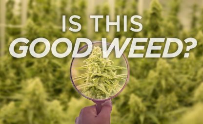 Good Weed Blog Header