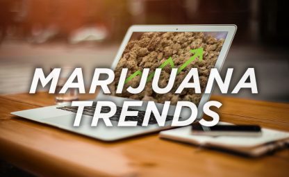 Marijuana Trends pt2