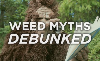 Weed-Myths-blog-header