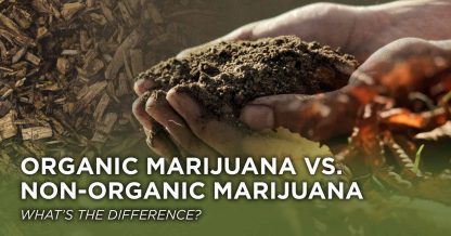 Organic vs non Blog v2