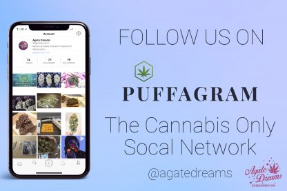 puffagram_promo