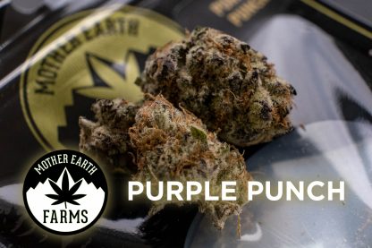 Purple Punch