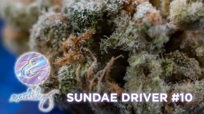 Sundae Driver #10