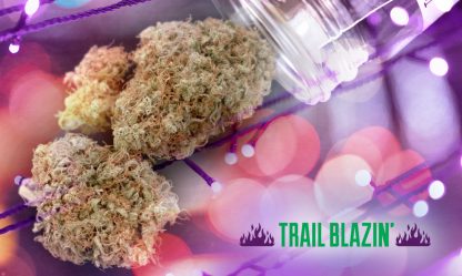 Trail blazin v3