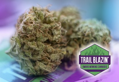 Trail Blazin