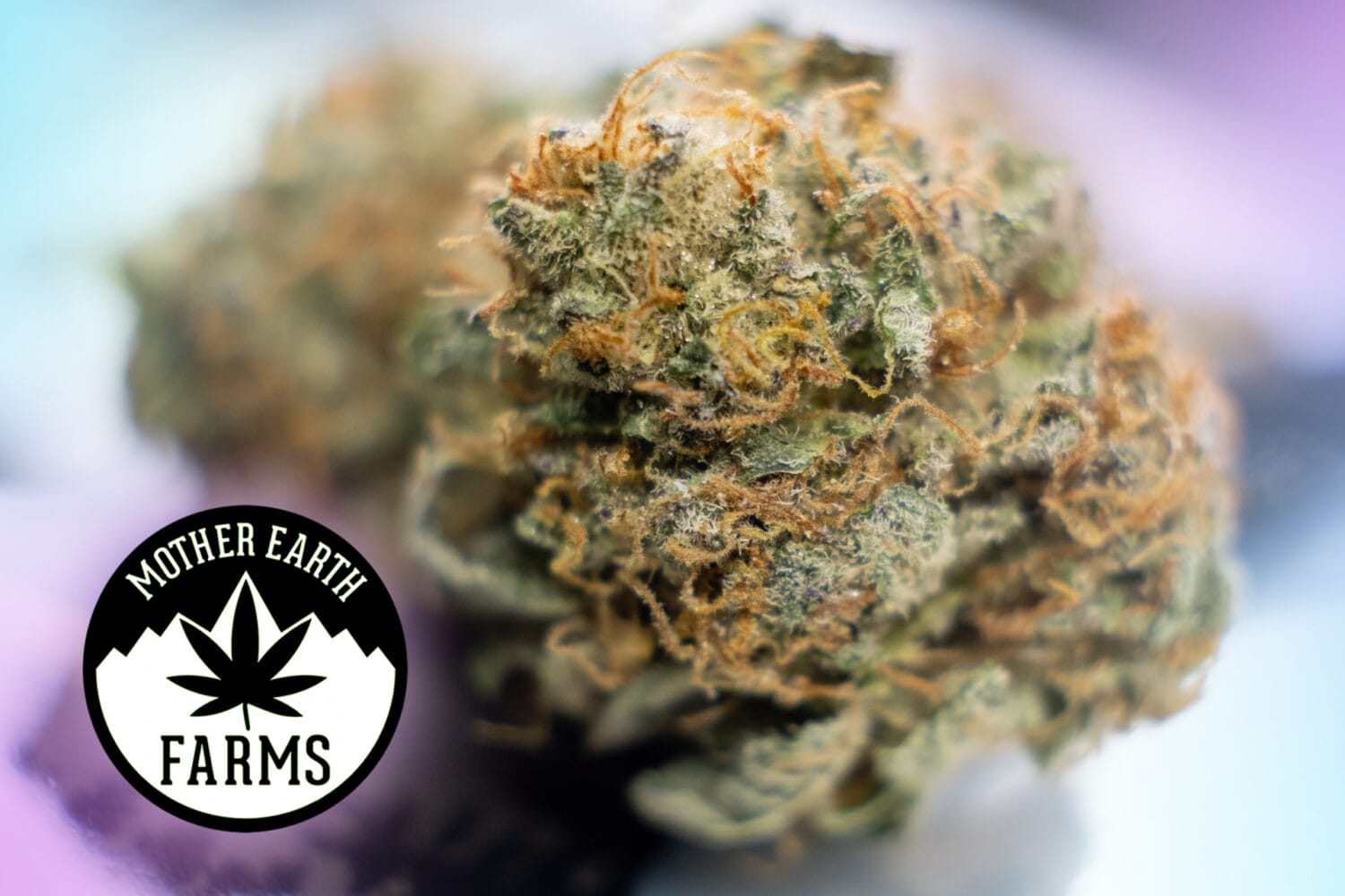 Bahama Mama from Mother Earth Farms - Agate Dreams