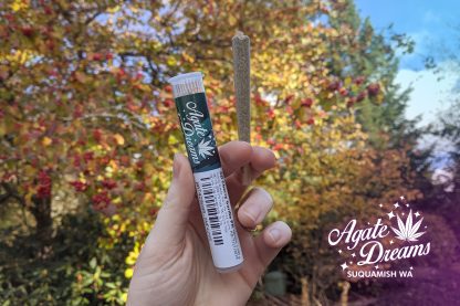 Agate Preroll