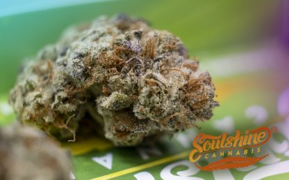 Soulshine Rascal OG