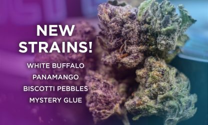 New Bellevue Strains