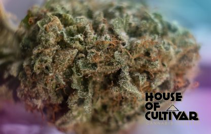 House of Cultivar - Chem Mint