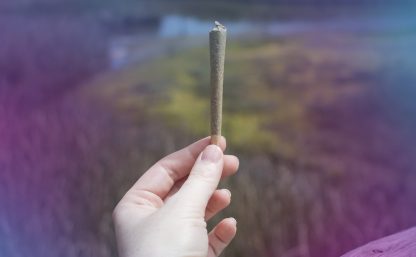 Preroll on the beach