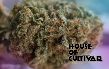 House of Cultivar - Chem Mint