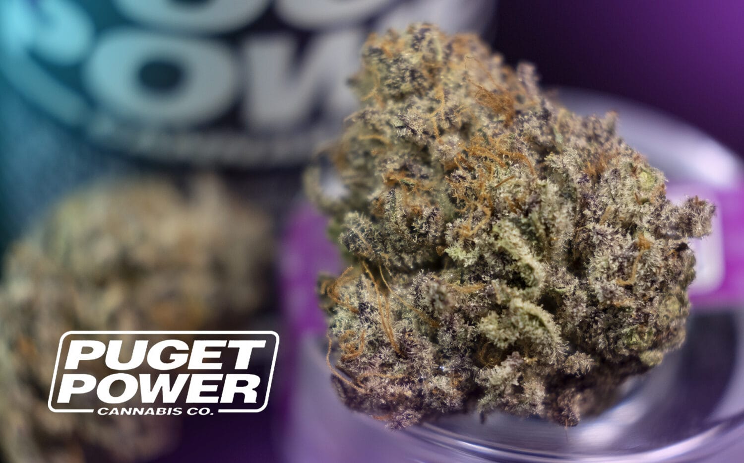 Puget Power Purple Punch