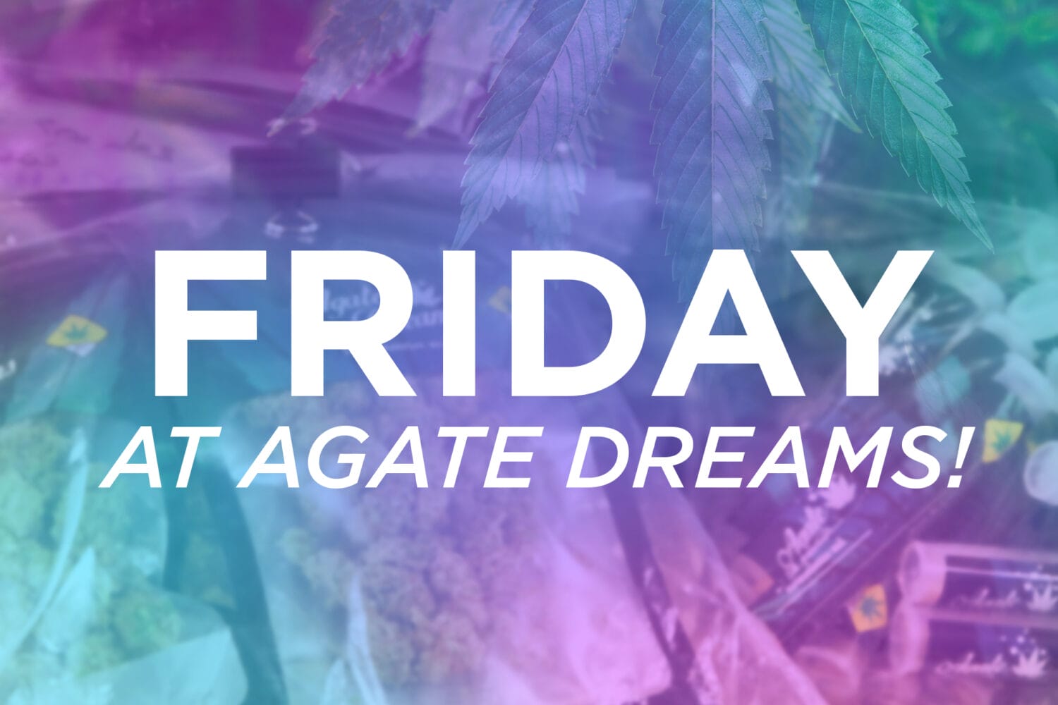 Friday at Agate