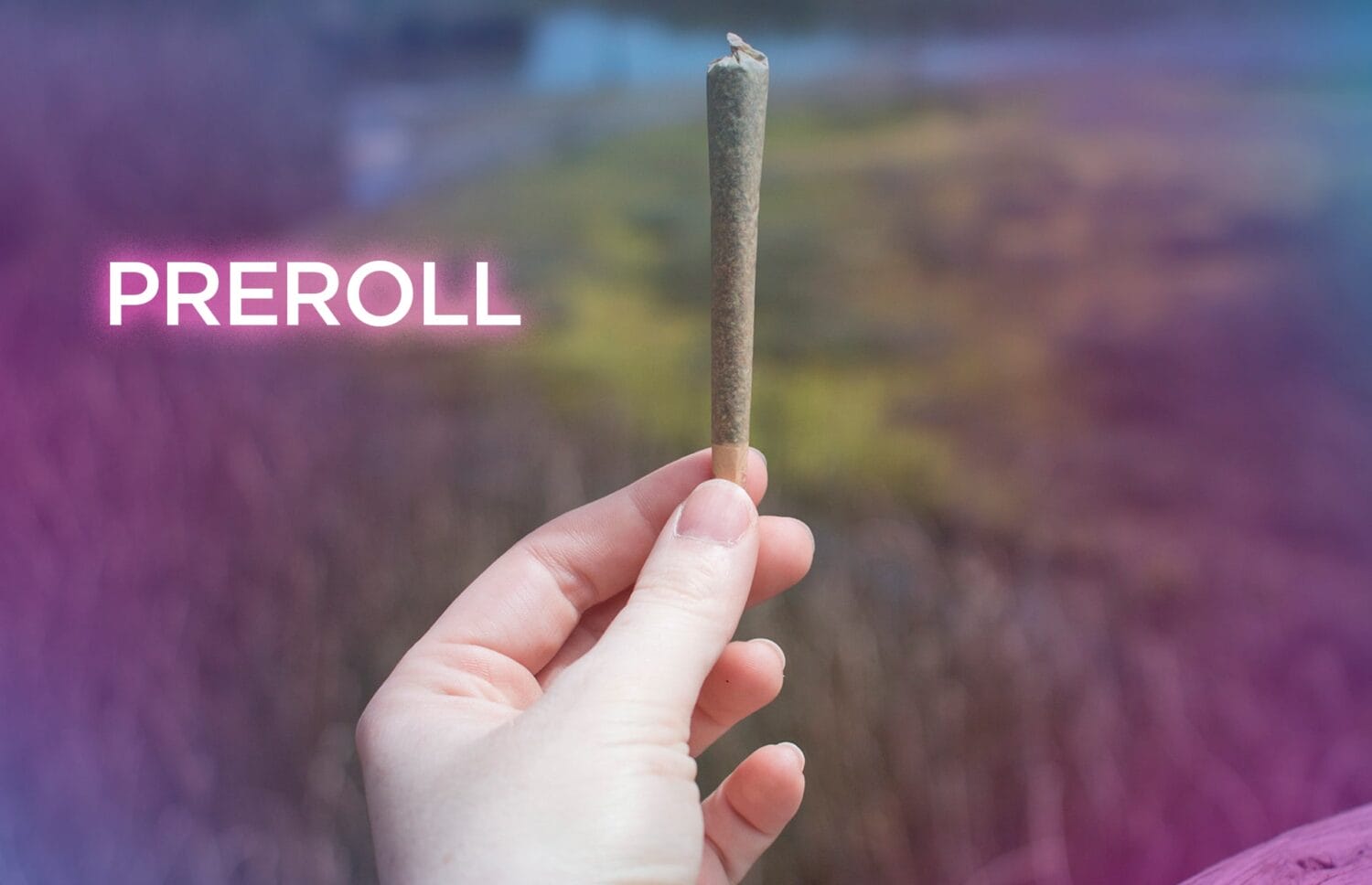Agate Dreams Pre-Rolls