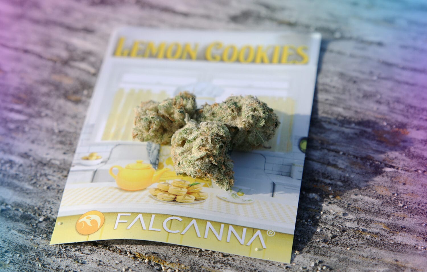 Lemon Cookies Falcanna