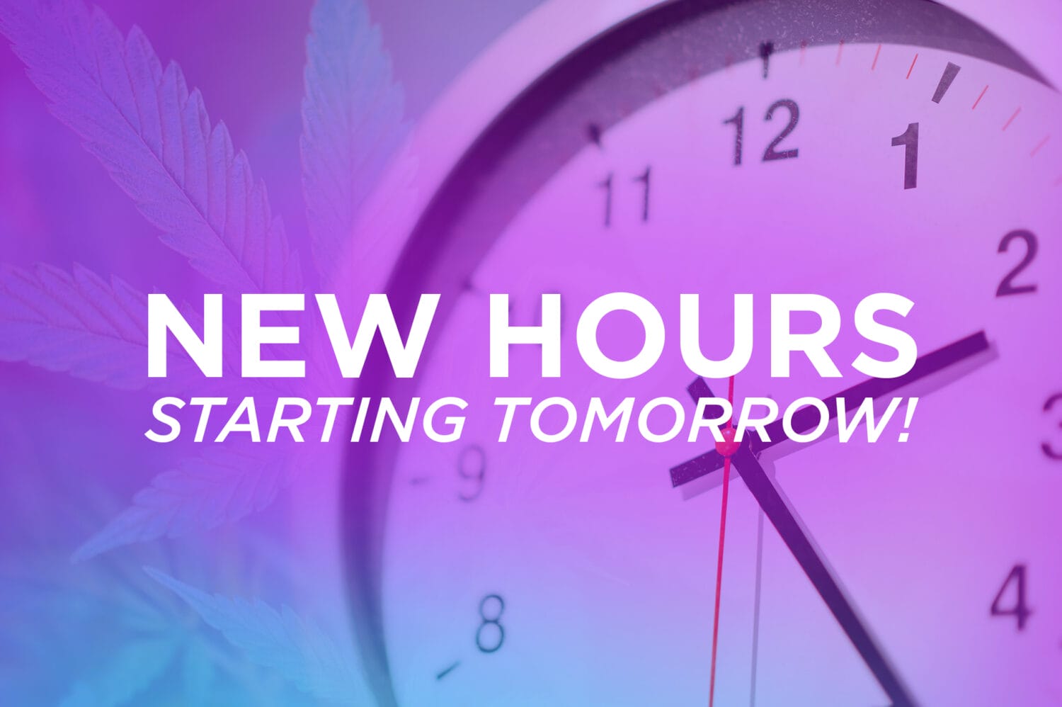 New Hours 2