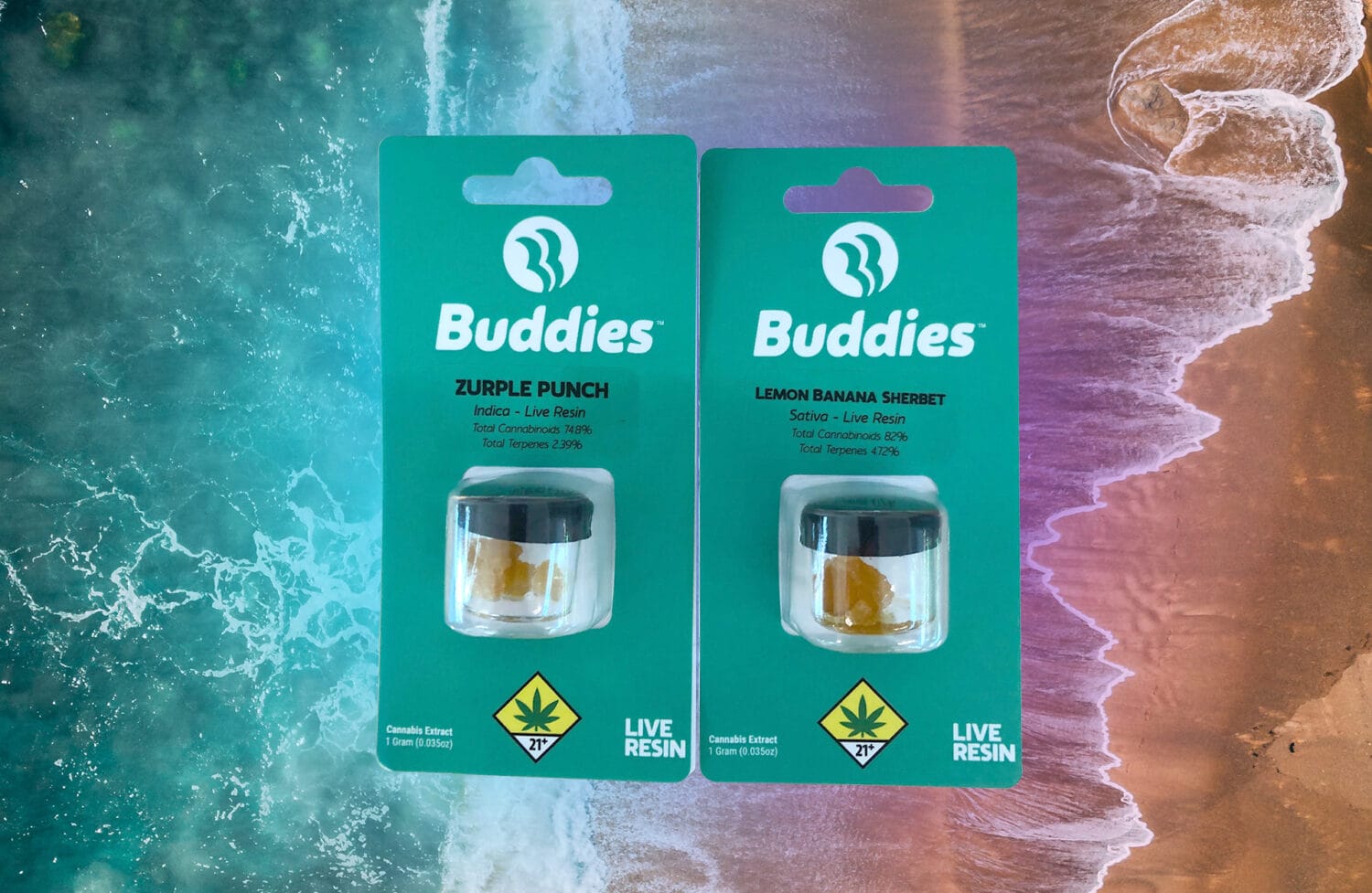 Buddies Feature