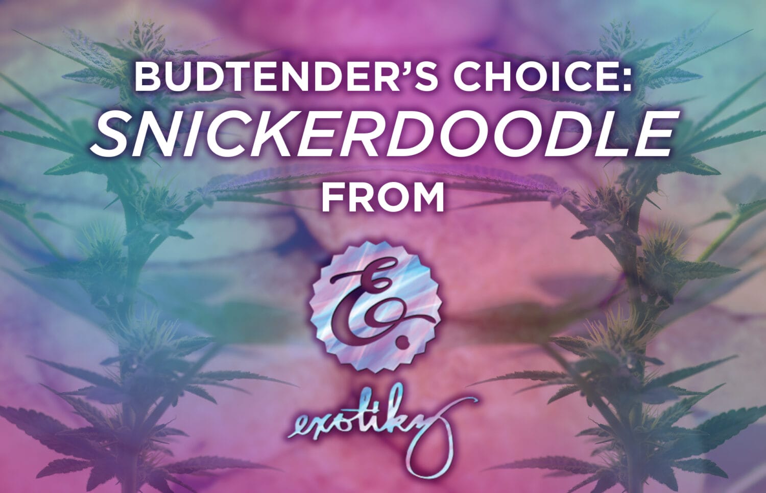 Budtender's Choice