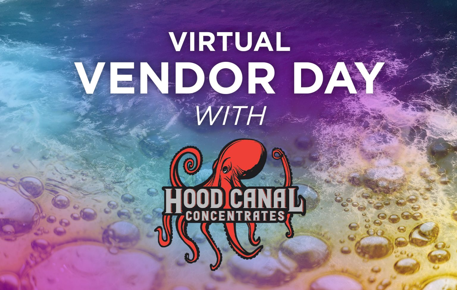Virtual Vendor Day Hood Canal Concentrates! Agate Dreams