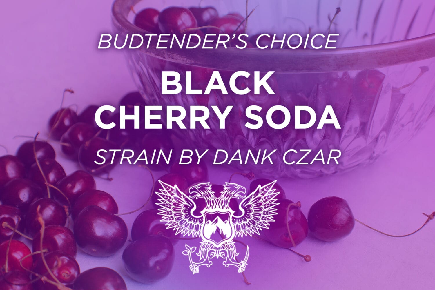 Dank Czar Black Cherry Soda