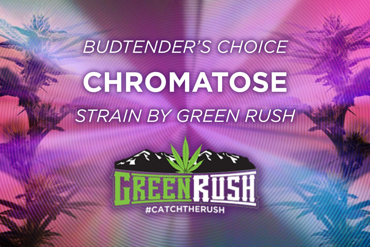 Green Rush Chromatose