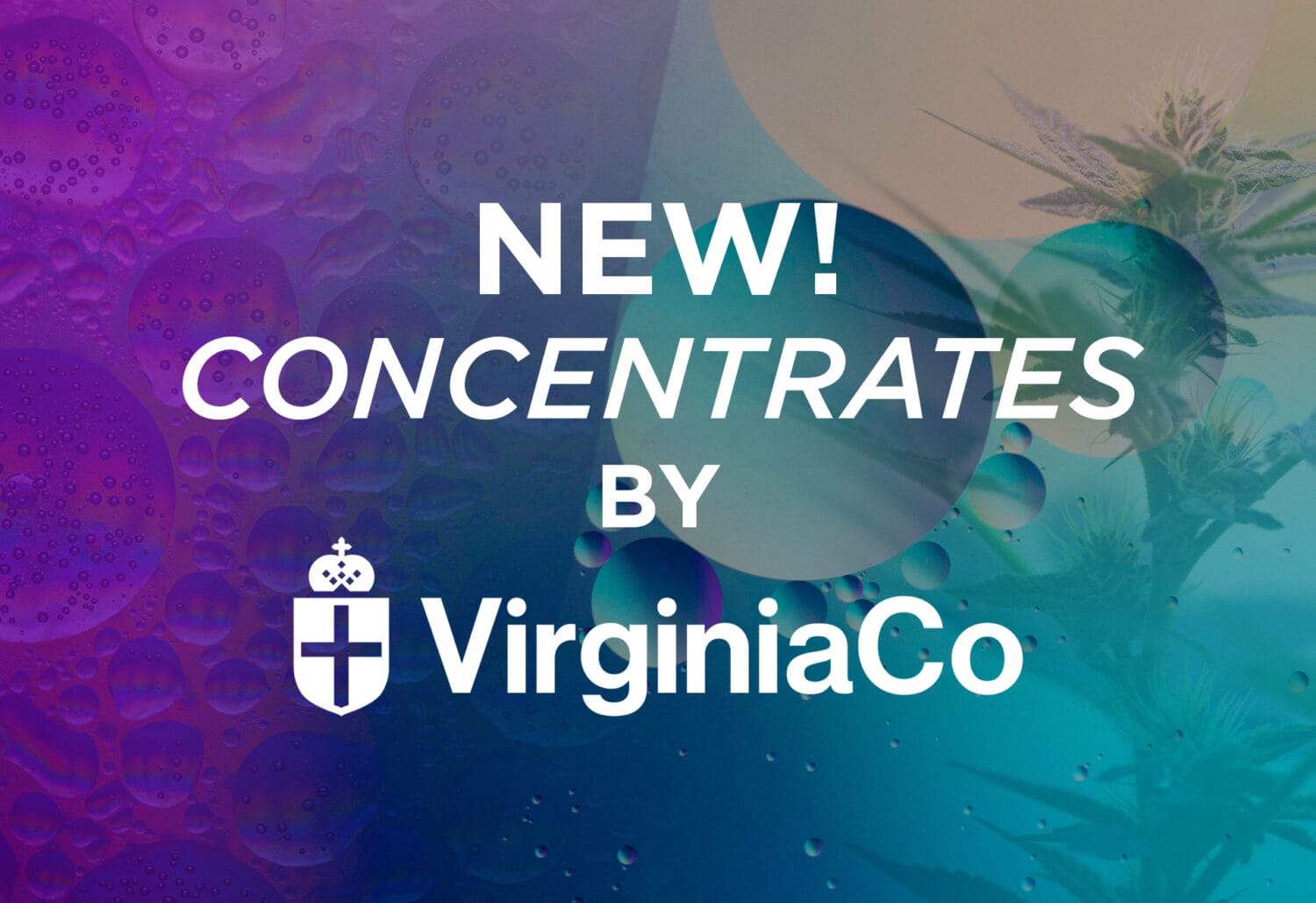 Virginia Co Concentrates