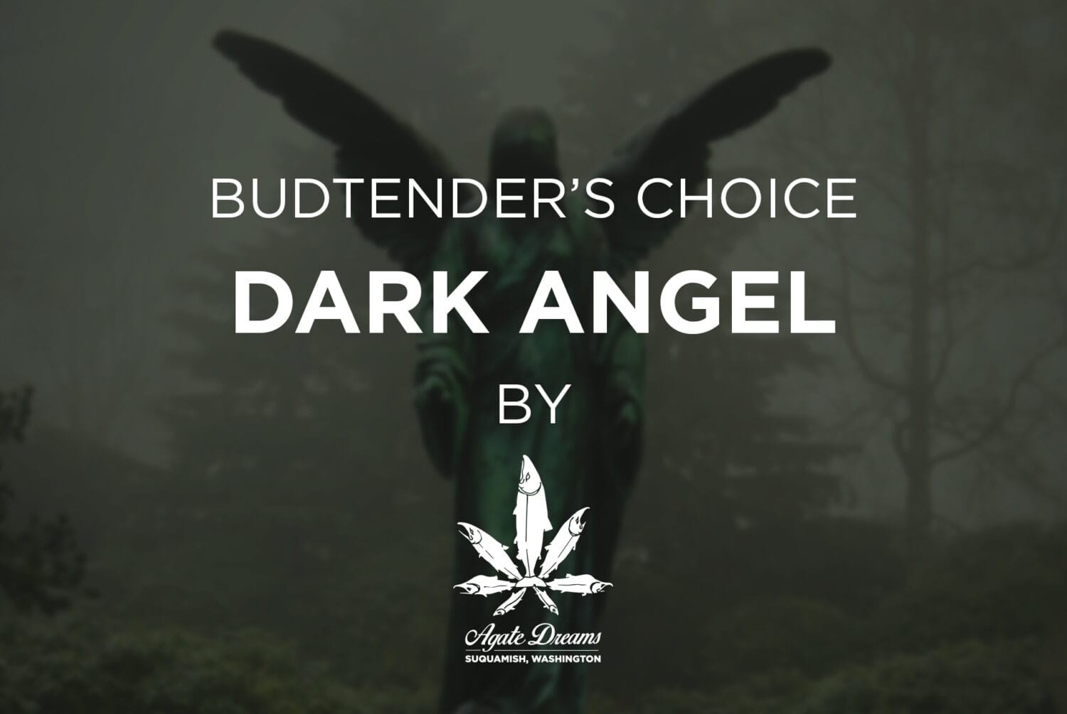 BC-Dark Angel by AD