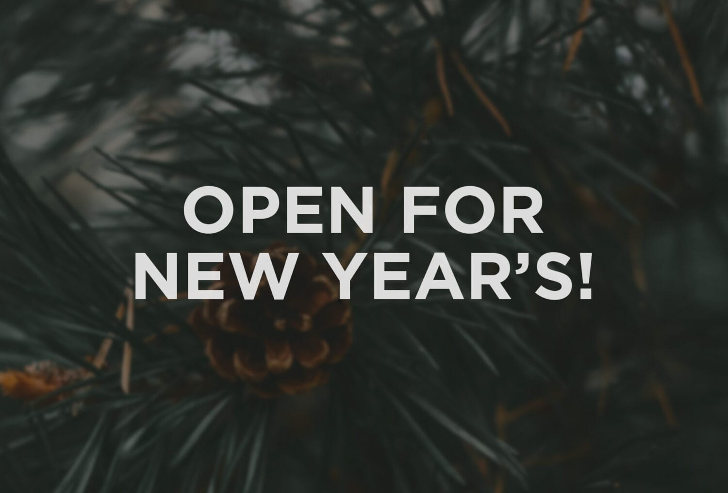 Open For New Year s Agate Dreams