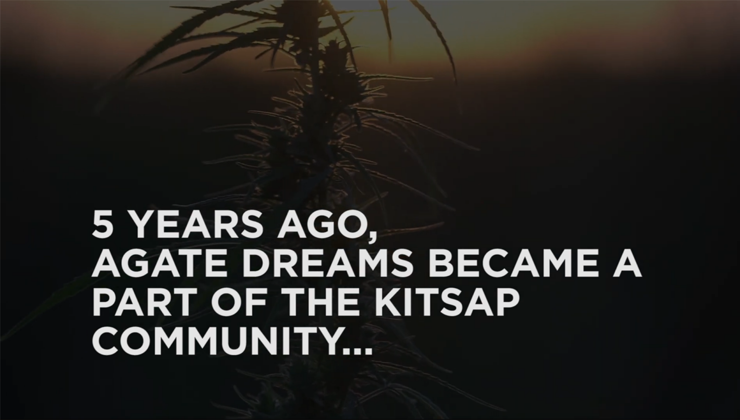 5 Years of Agate Dreams