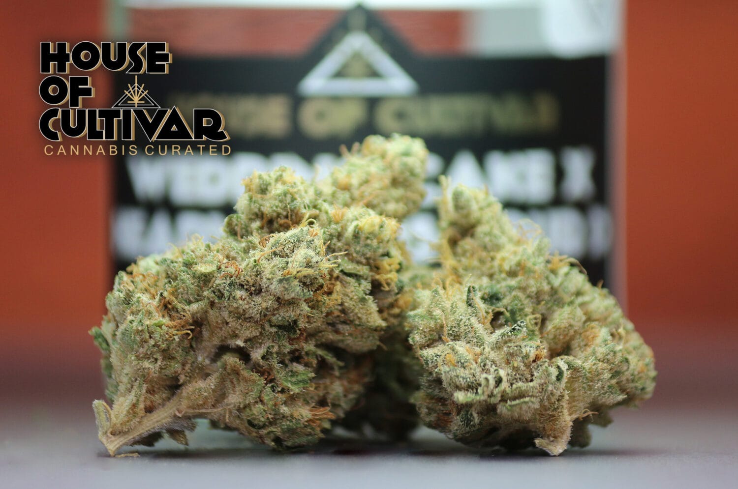 House of Cultivar Wedding Cake x Headwaters SD Header