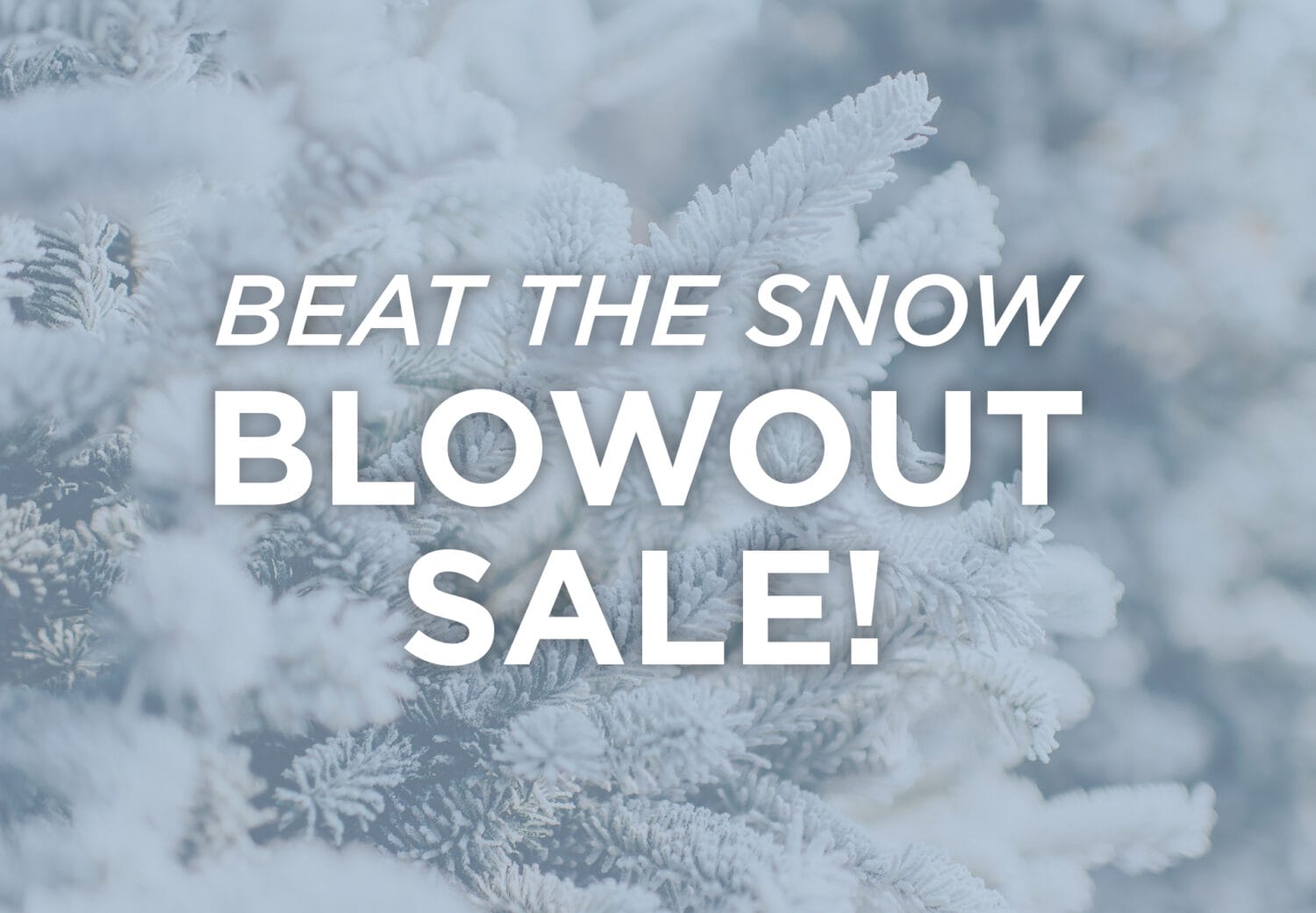 Winter Blowout Sale 2