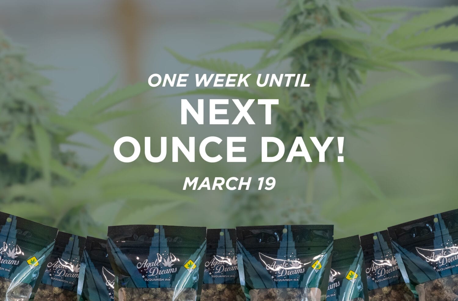 Next Ounce Day