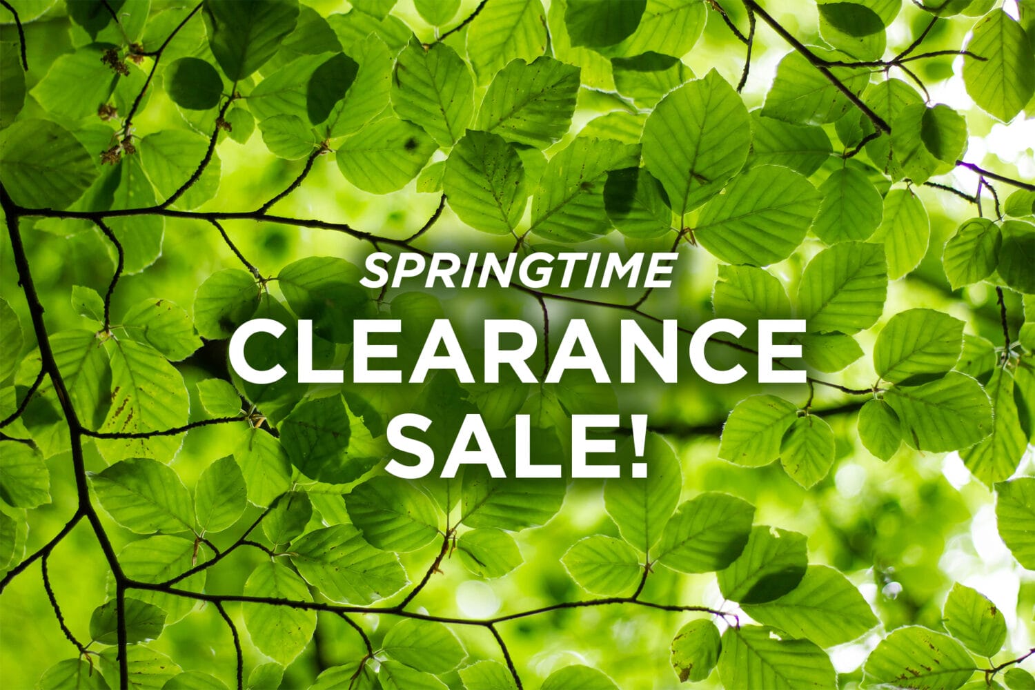 Spring Clearance Sale v2