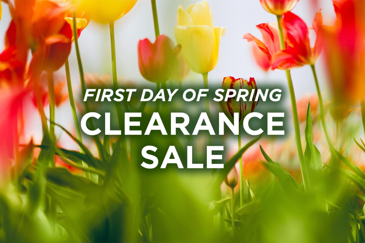 Spring Clearance Sale