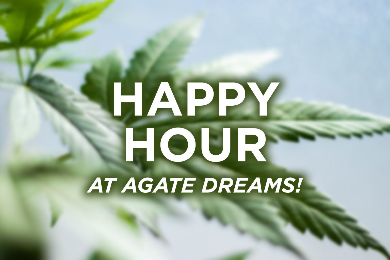 Happy Hours at Agate Dreams! Agate Dreams