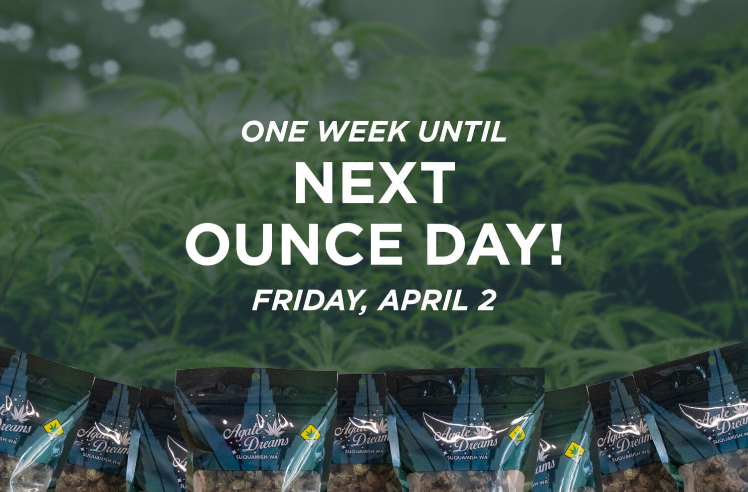 ounce-day-schedule-2