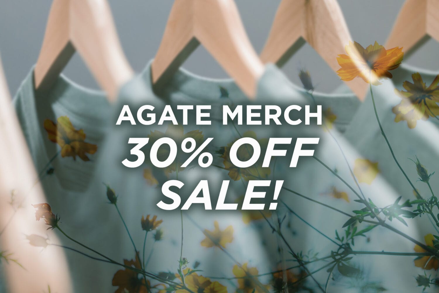Agate Merch Clearance Sale 2
