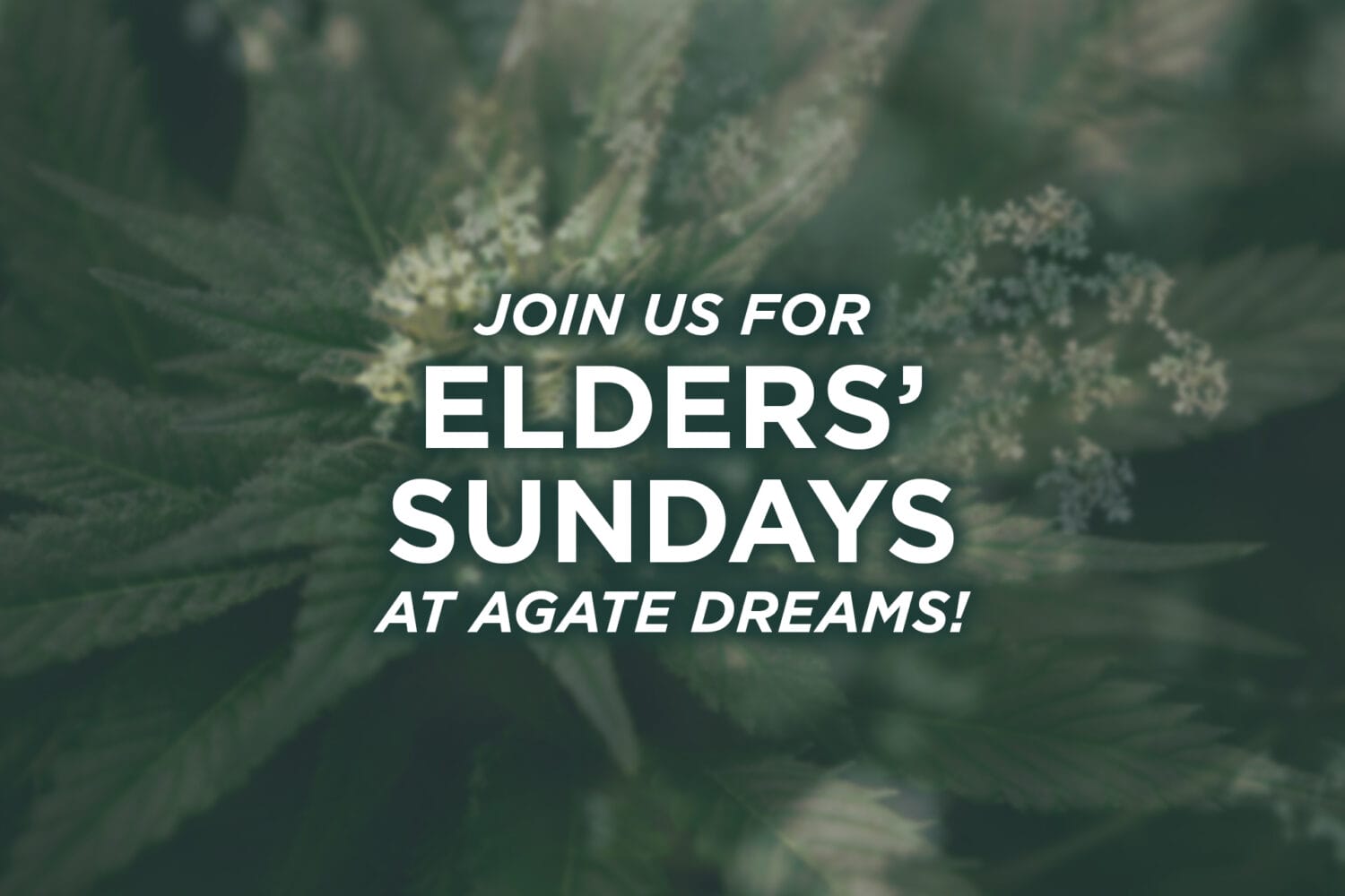 Elders Sunday Reminder 2