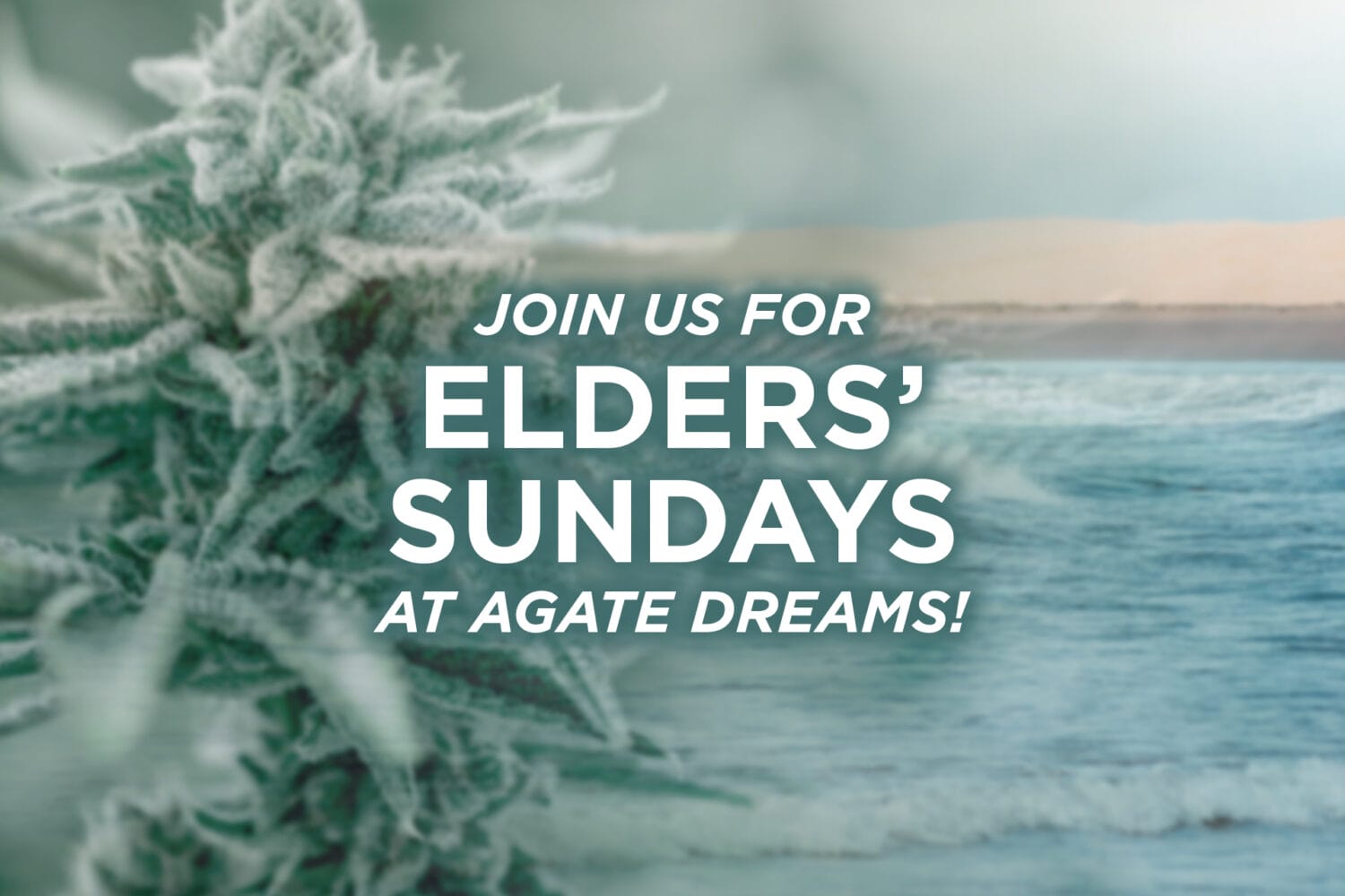 Elders Sunday Reminder