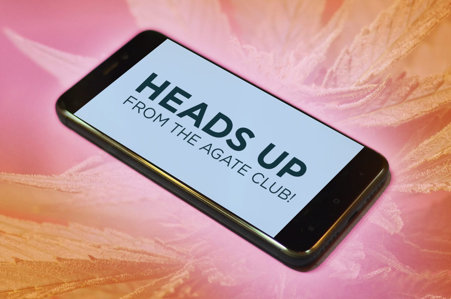 Heads Up Text Teaser