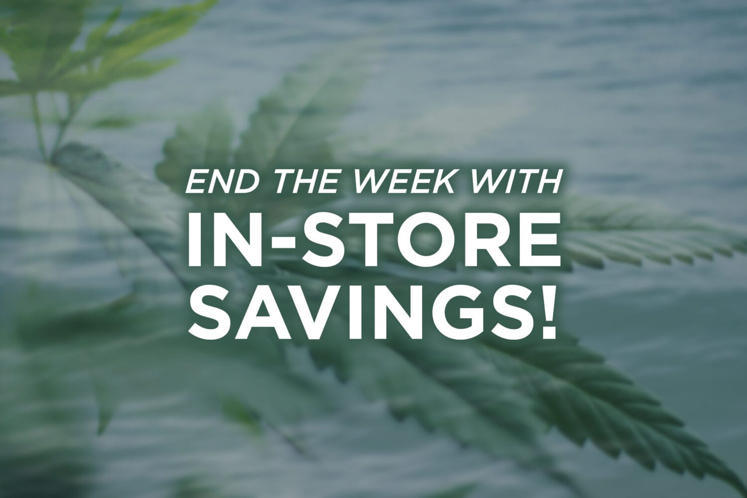 In Store Savings 2