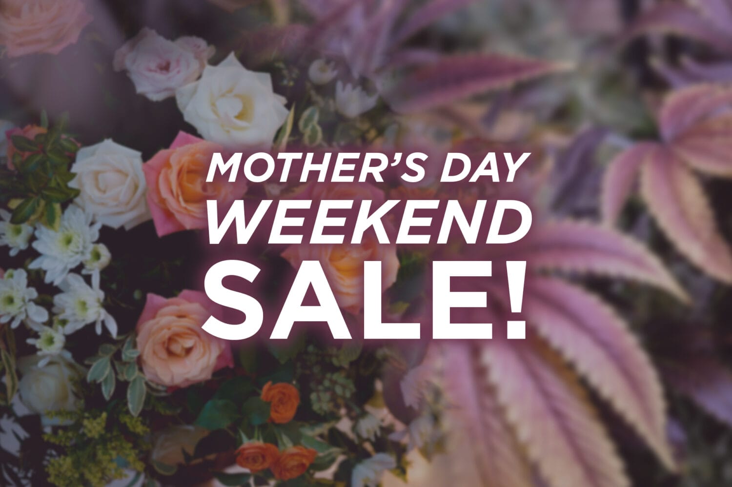 Mother's Day Weekend Sale 2