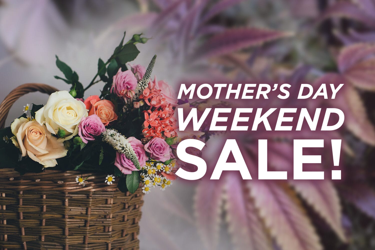 Mother's Day Weekend Sale